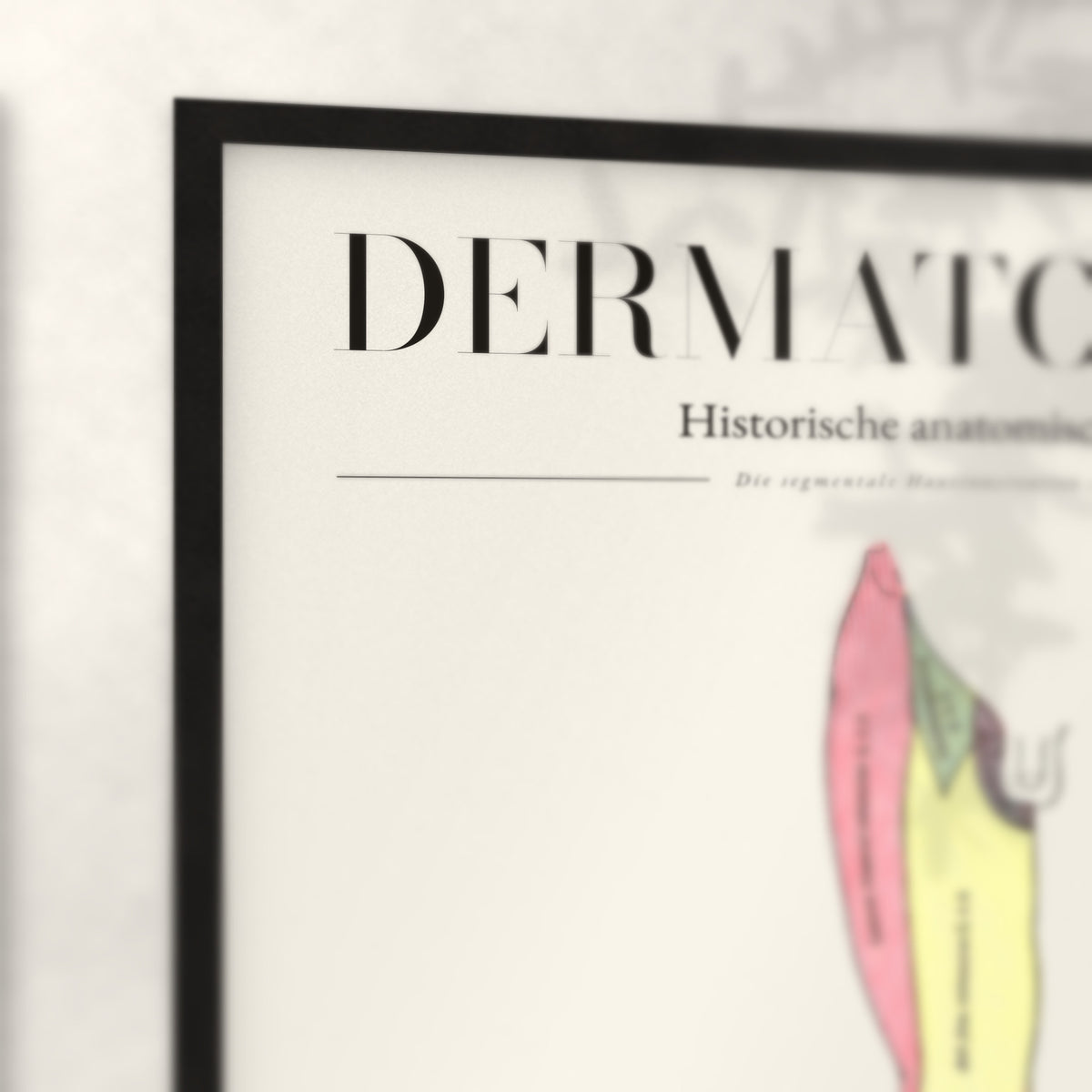 Nahaufnahme von Rahmenecke und Titel „Dermatomata“