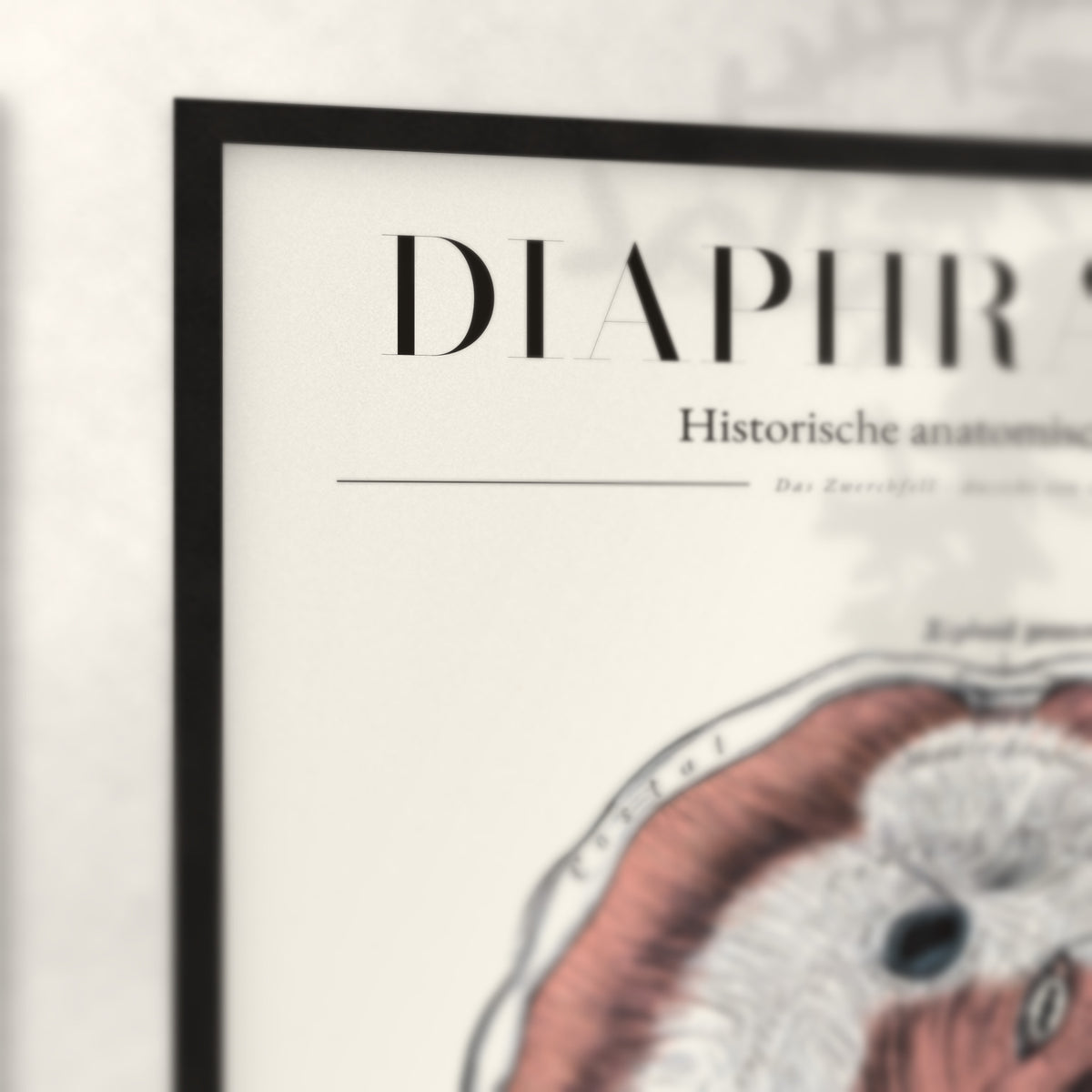 Nahaufnahme von Rahmenecke und Titel „Diaphragma“