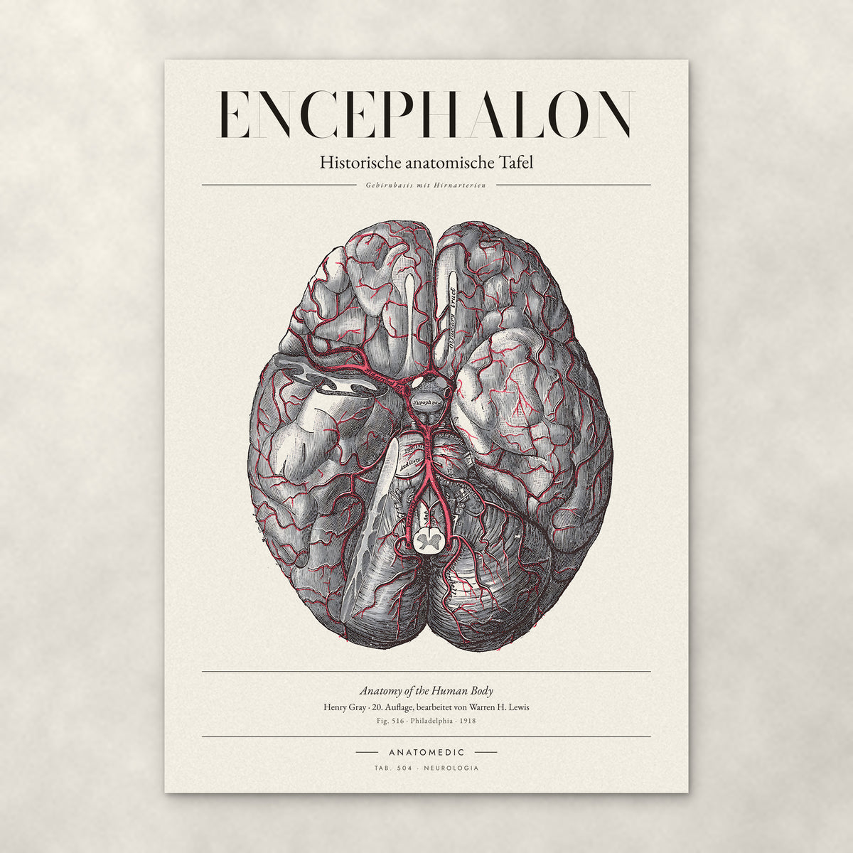 Encephalon – Anatomie-Poster von ANATOMEDIC, historische anatomische Tafel: Gehirnbasis mit Hirnarterien
