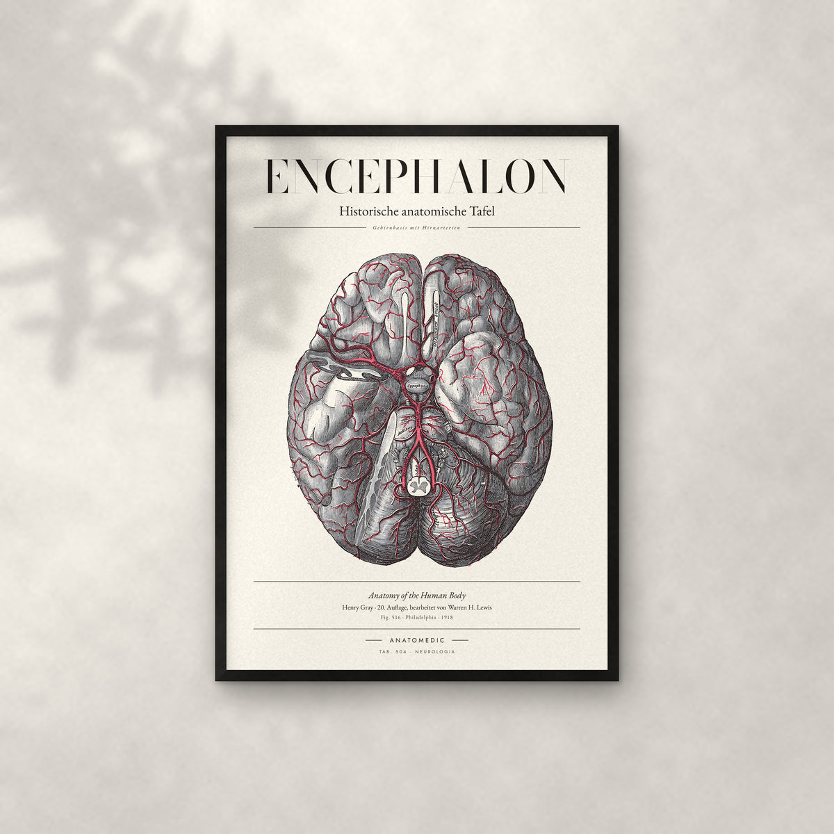 Encephalon Anatomie-Poster im schwarzen Rahmen an heller Wand