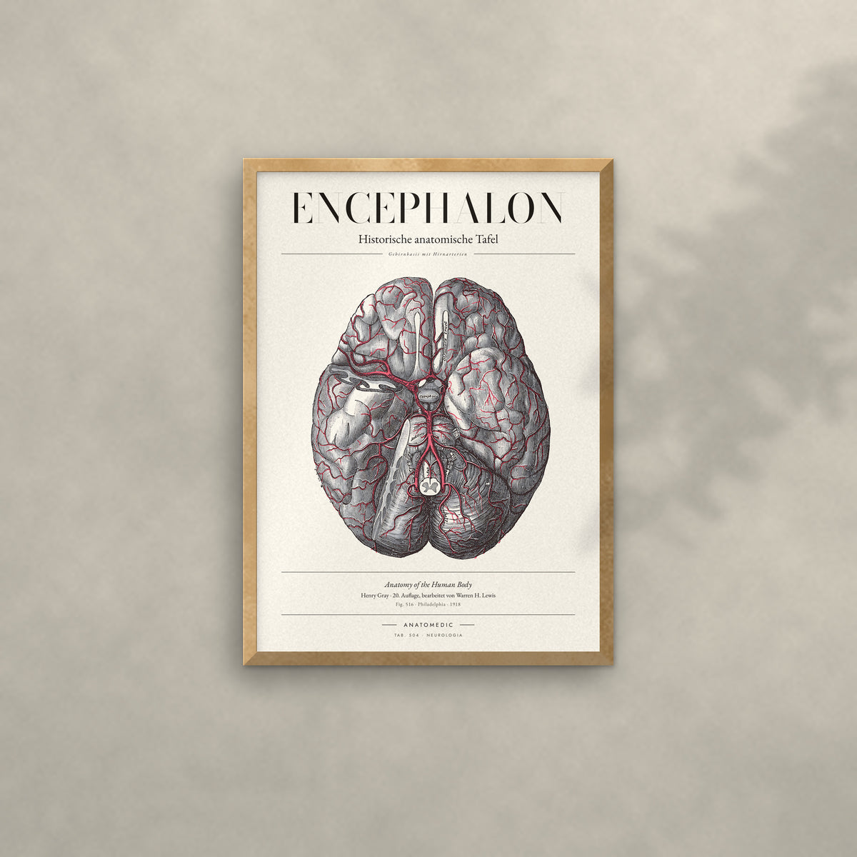 Encephalon Anatomie-Poster im Eichenrahmen an heller Wand