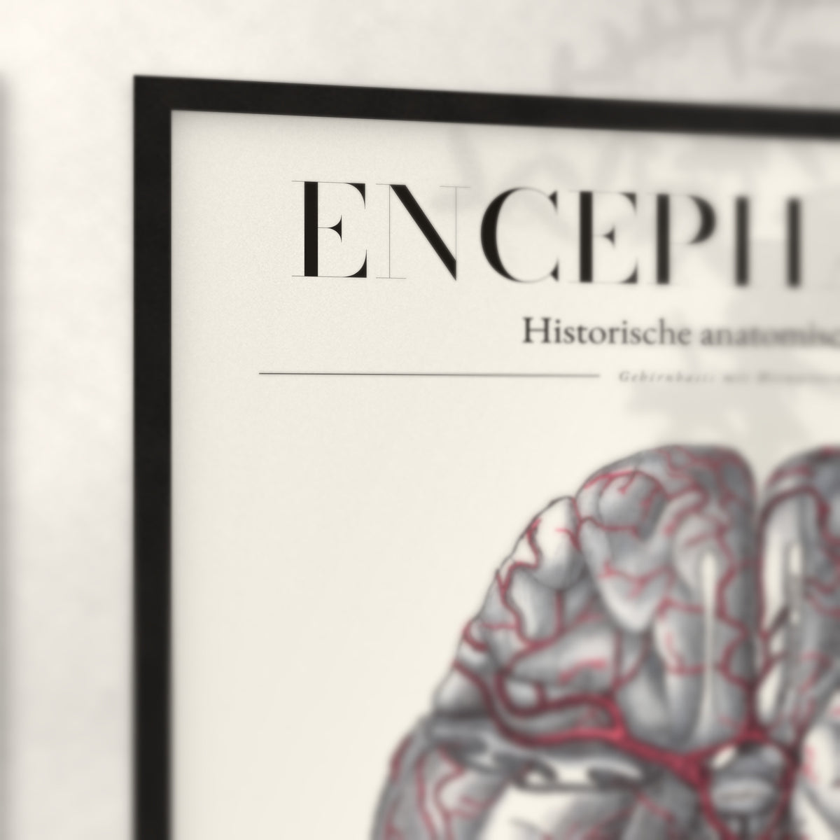 Nahaufnahme von Rahmenecke und Titel „Encephalon“