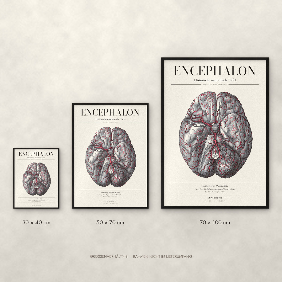 Encephalon Poster im Größenvergleich: 30 × 40, 50 × 70 und 70 × 100 cm
