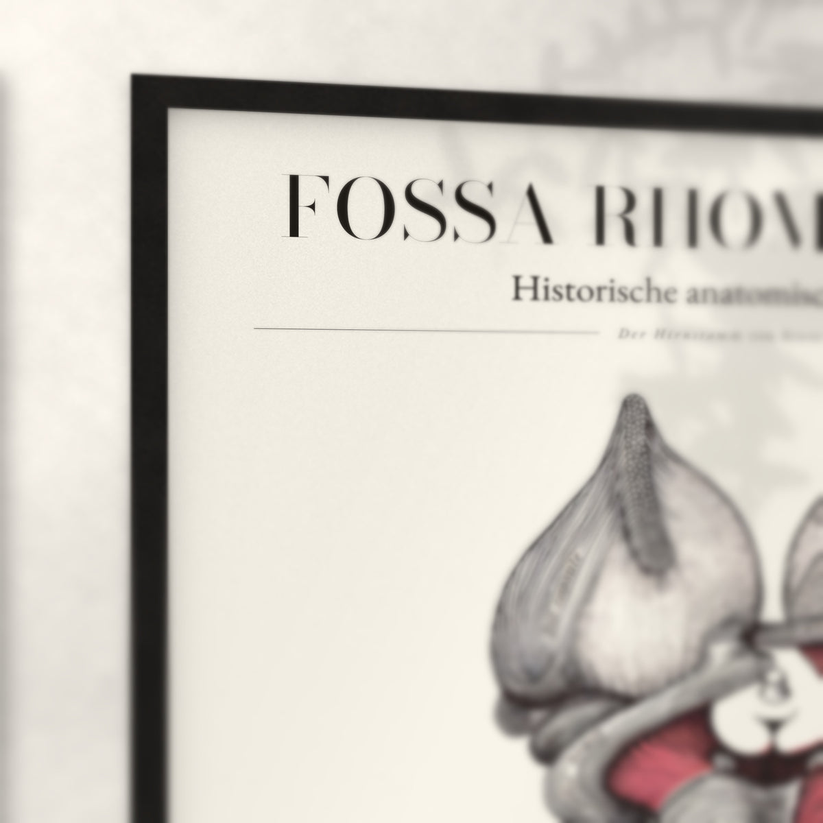 Nahaufnahme von Rahmenecke und Titel „Fossa Rhomboidea“