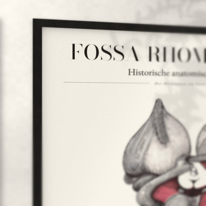 Nahaufnahme von Rahmenecke und Titel „Fossa Rhomboidea“