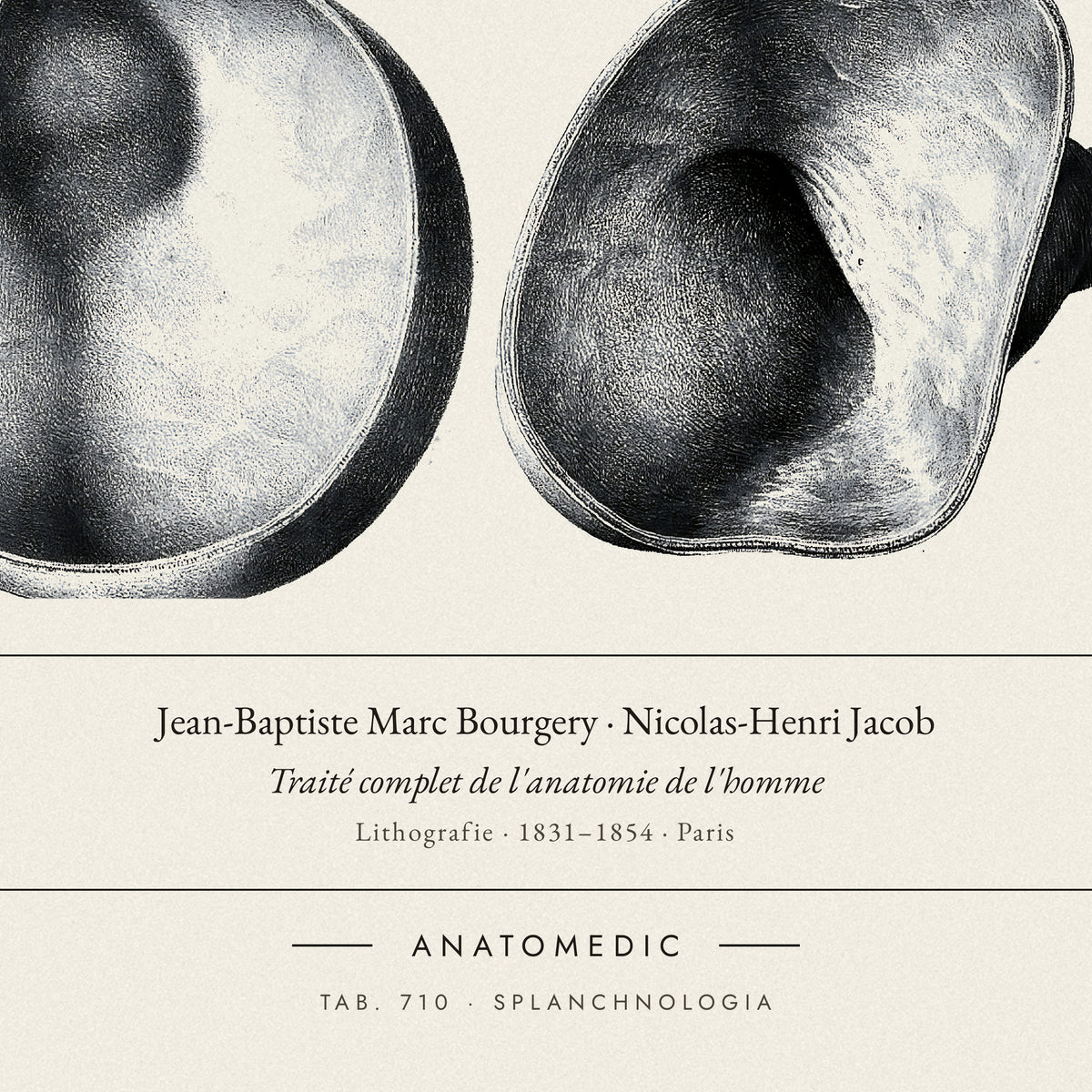 Nahaufnahme der Bildunterschrift: Jean-Baptiste Marc Bourgery · Nicolas-Henri Jacob · Traité complet de l'anatomie de l'homme, TAB. 710 · SPLANCHNOLOGIA