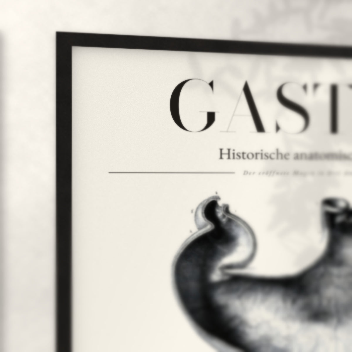 Nahaufnahme von Rahmenecke und Titel „Gaster“
