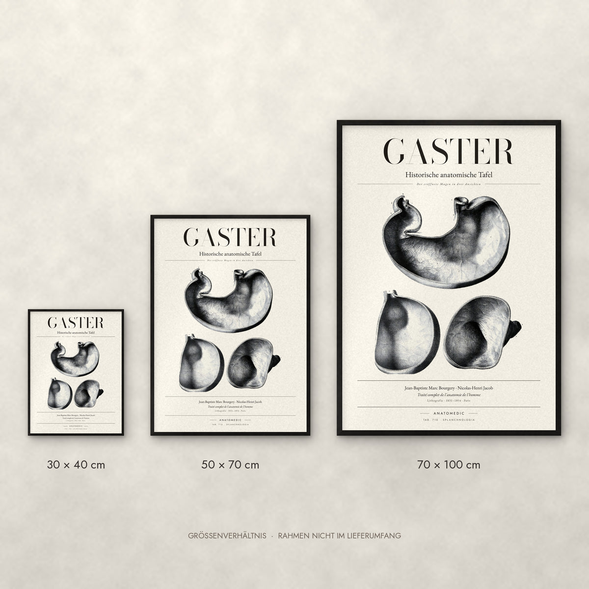 Gaster Poster im Größenvergleich: 30 × 40, 50 × 70 und 70 × 100 cm
