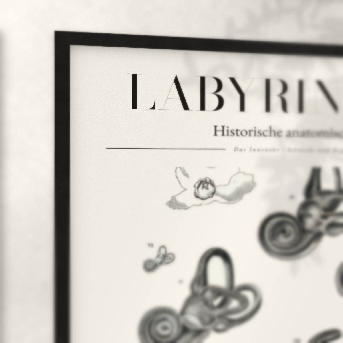 Nahaufnahme von Rahmenecke und Titel „Labyrinthus“