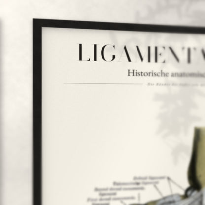 Nahaufnahme von Rahmenecke und Titel „Ligamenta Pedis“