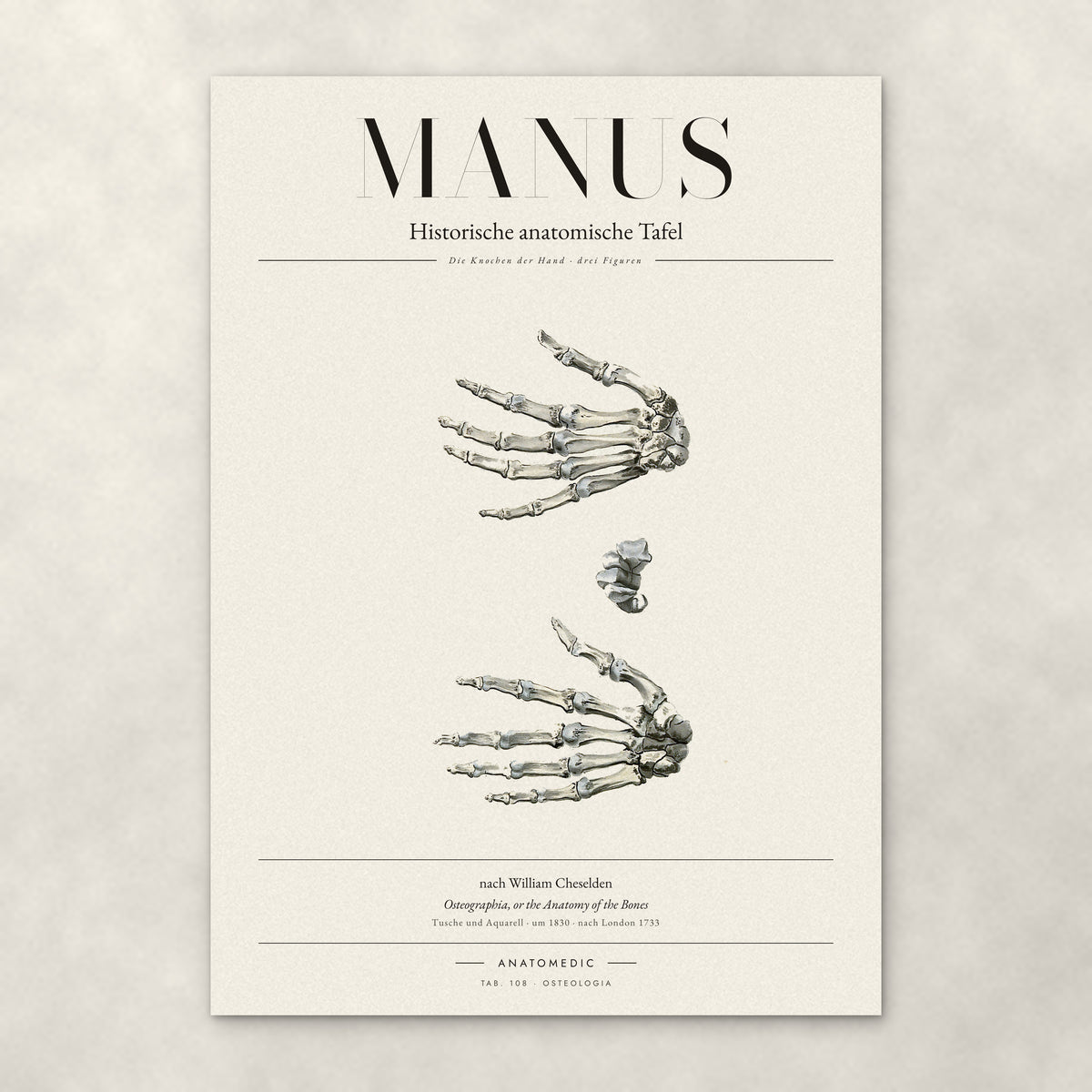 Manus – Anatomie-Poster von ANATOMEDIC, historische anatomische Tafel: Die Knochen der Hand · drei Figuren