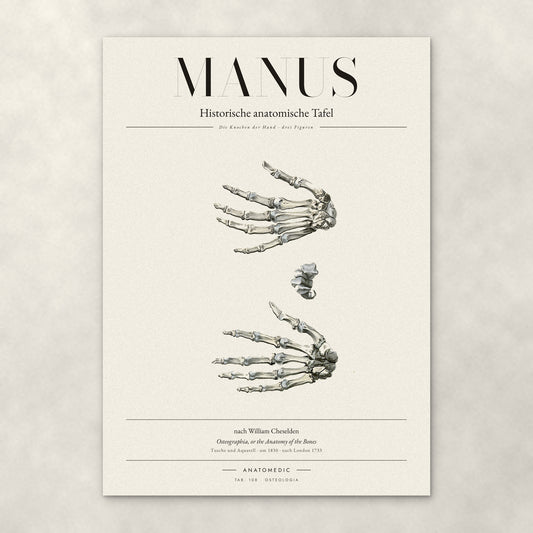 Manus – Anatomie-Poster von ANATOMEDIC, historische anatomische Tafel: Die Knochen der Hand · drei Figuren