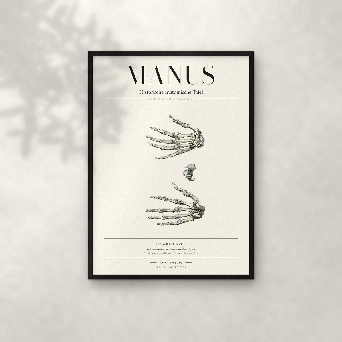 Manus Anatomie-Poster im schwarzen Rahmen an heller Wand