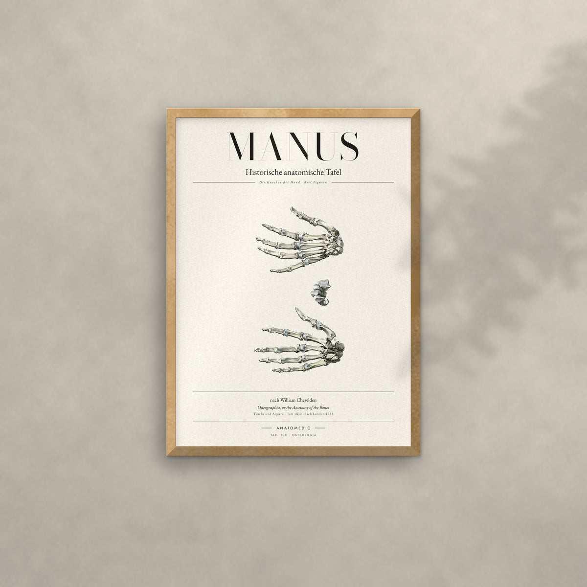 Manus Anatomie-Poster im Eichenrahmen an heller Wand