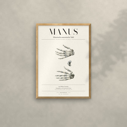 Manus Anatomie-Poster im Eichenrahmen an heller Wand