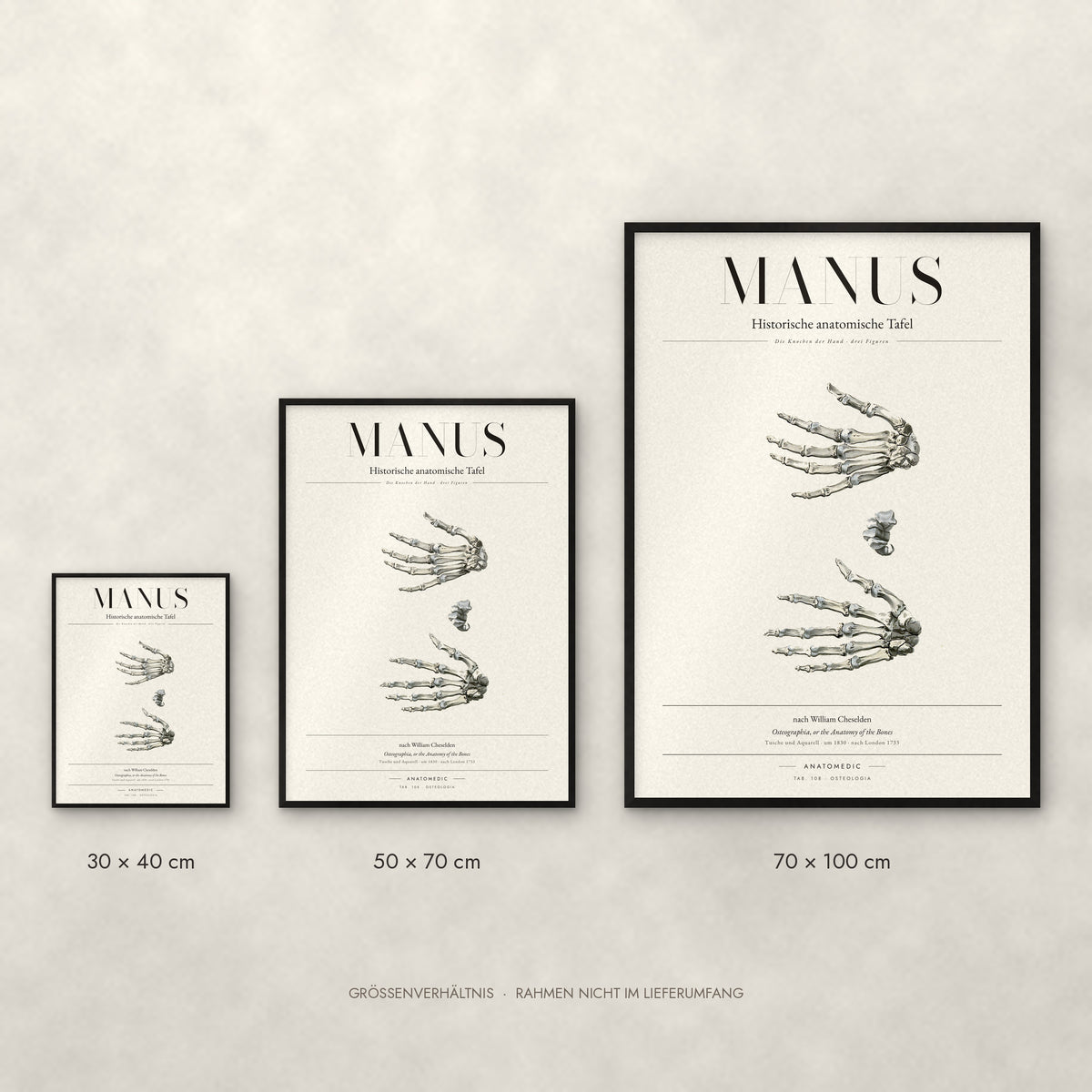 Manus Poster im Größenvergleich: 30 × 40, 50 × 70 und 70 × 100 cm