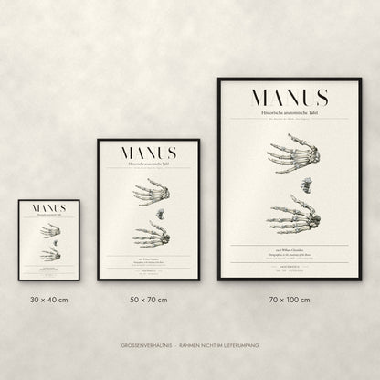 Manus Poster im Größenvergleich: 30 × 40, 50 × 70 und 70 × 100 cm