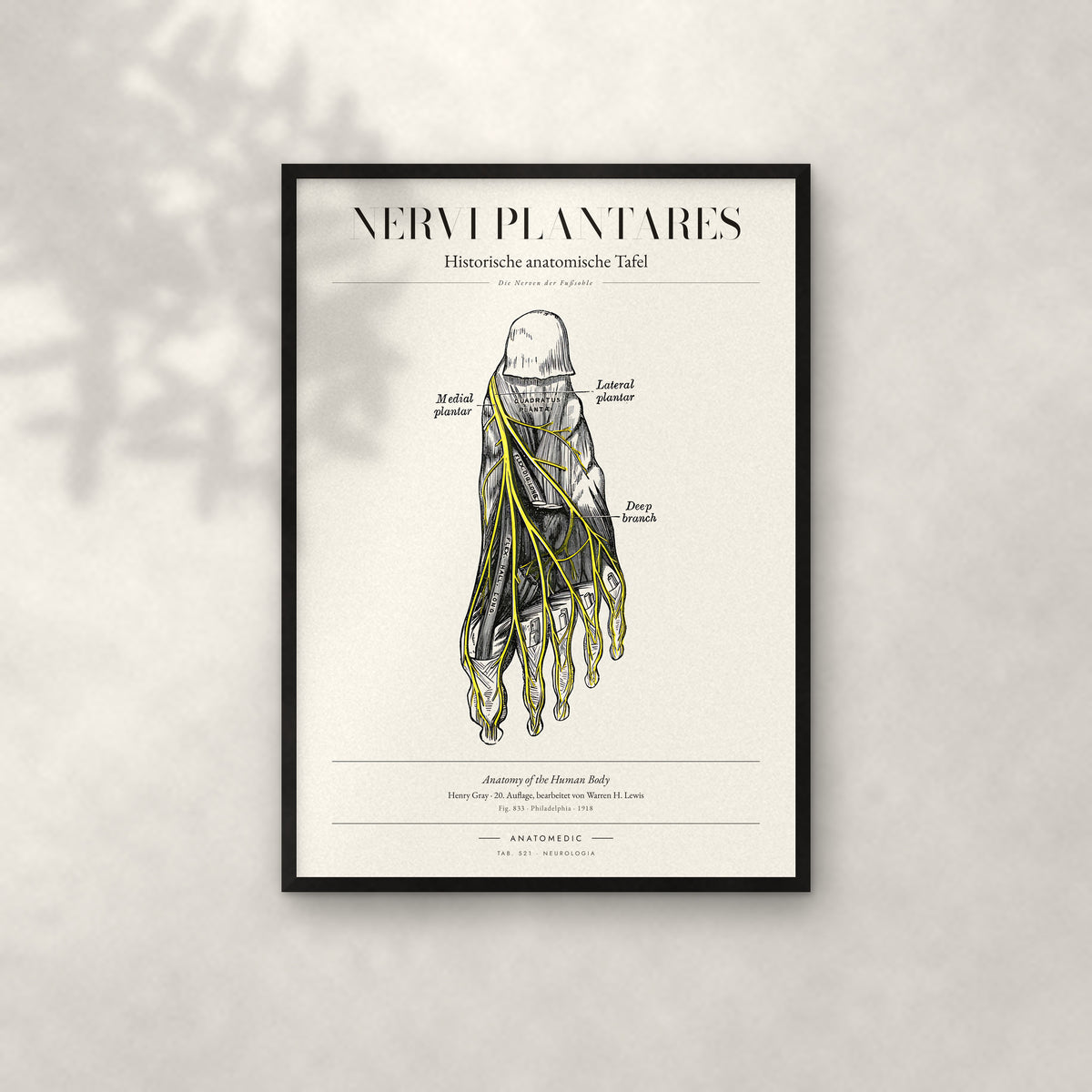Nervi Plantares Anatomie-Poster im schwarzen Rahmen an heller Wand