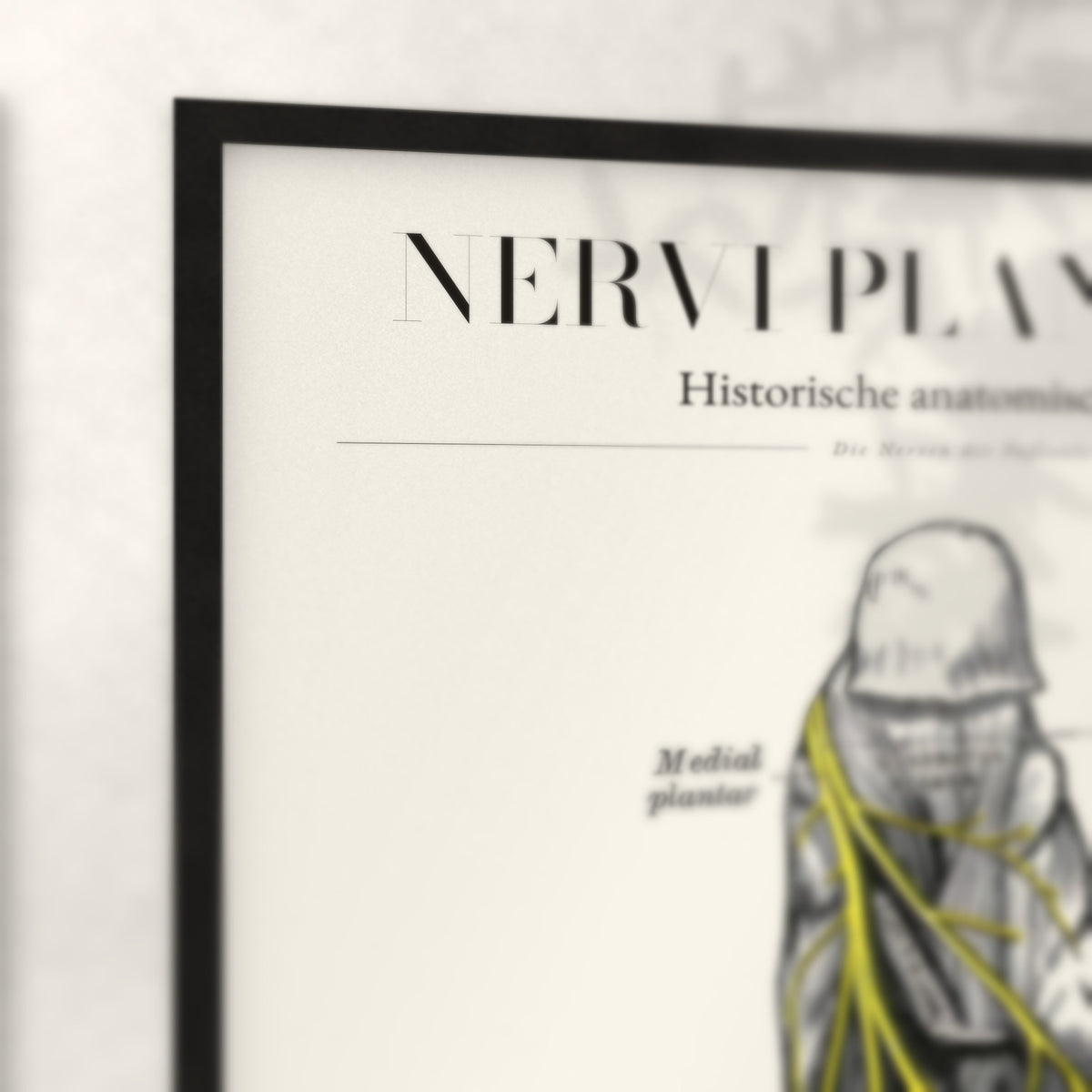 Nahaufnahme von Rahmenecke und Titel „Nervi Plantares“
