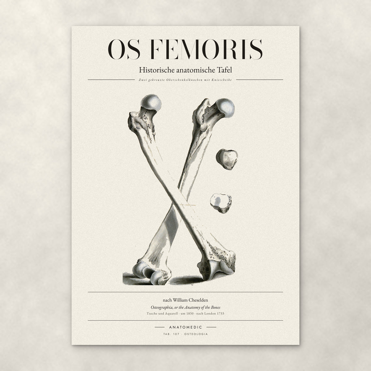 Os Femoris – Anatomie-Poster von ANATOMEDIC, historische anatomische Tafel: Zwei gekreuzte Oberschenkelknochen mit Kniescheibe