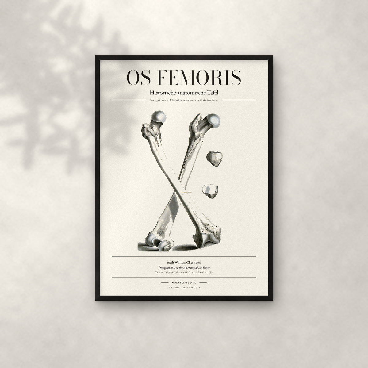 Os Femoris Anatomie-Poster im schwarzen Rahmen an heller Wand