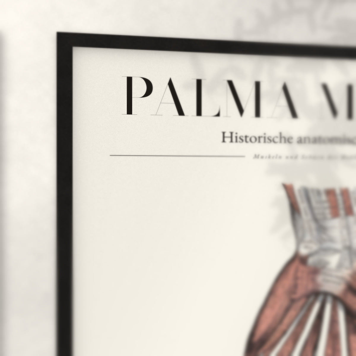 Nahaufnahme von Rahmenecke und Titel „Palma Manus“
