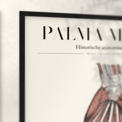 Nahaufnahme von Rahmenecke und Titel „Palma Manus“