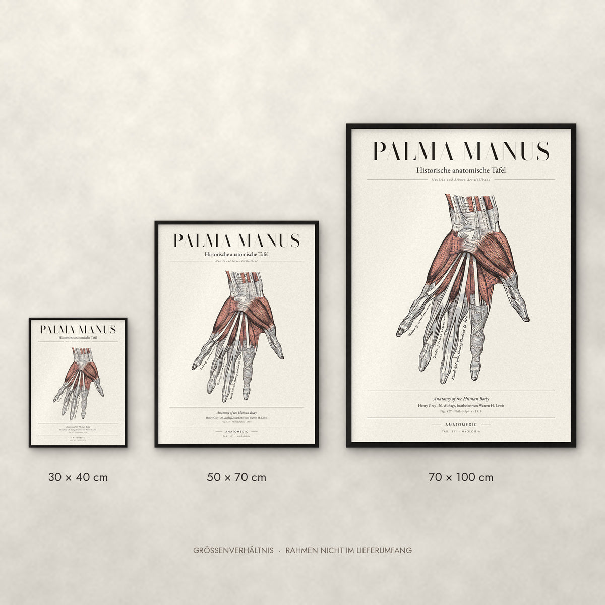 Palma Manus Poster im Größenvergleich: 30 × 40, 50 × 70 und 70 × 100 cm