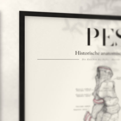 Nahaufnahme von Rahmenecke und Titel „Pes – Die Knochen des Fußes · Ansicht von oben“