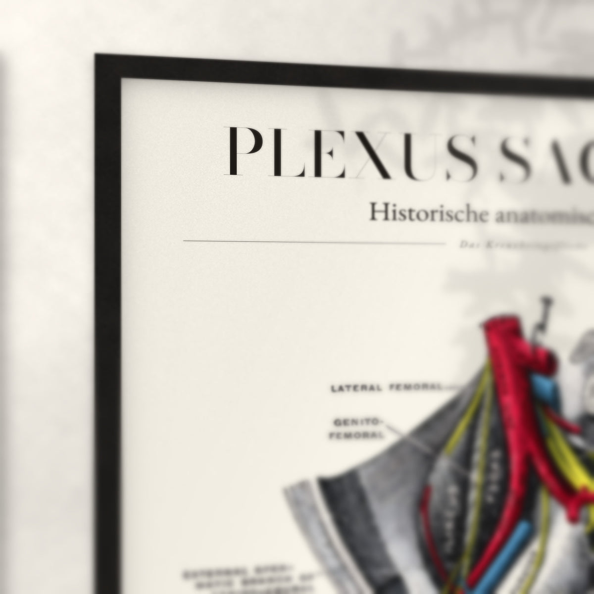 Nahaufnahme von Rahmenecke und Titel „Plexus Sacralis“