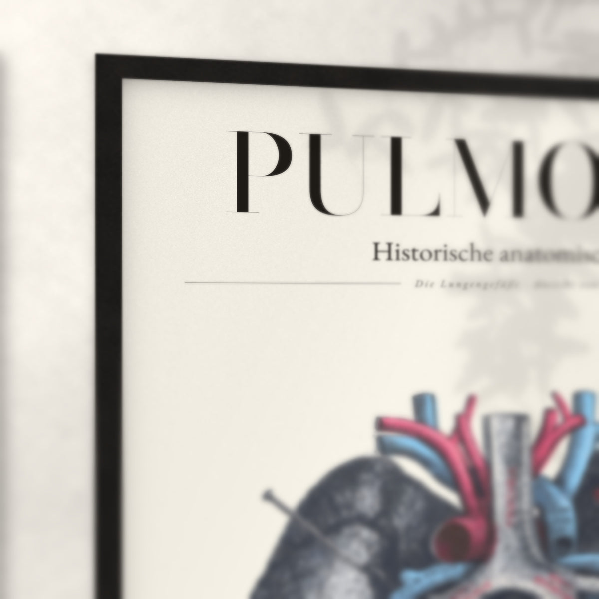 Nahaufnahme von Rahmenecke und Titel „Pulmones“