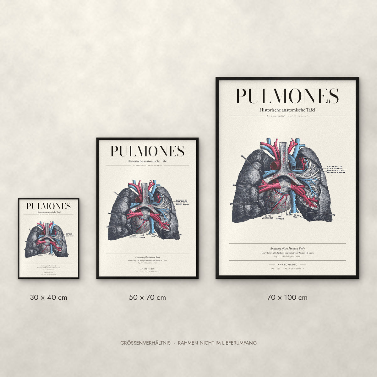 Pulmones Poster im Größenvergleich: 30 × 40, 50 × 70 und 70 × 100 cm