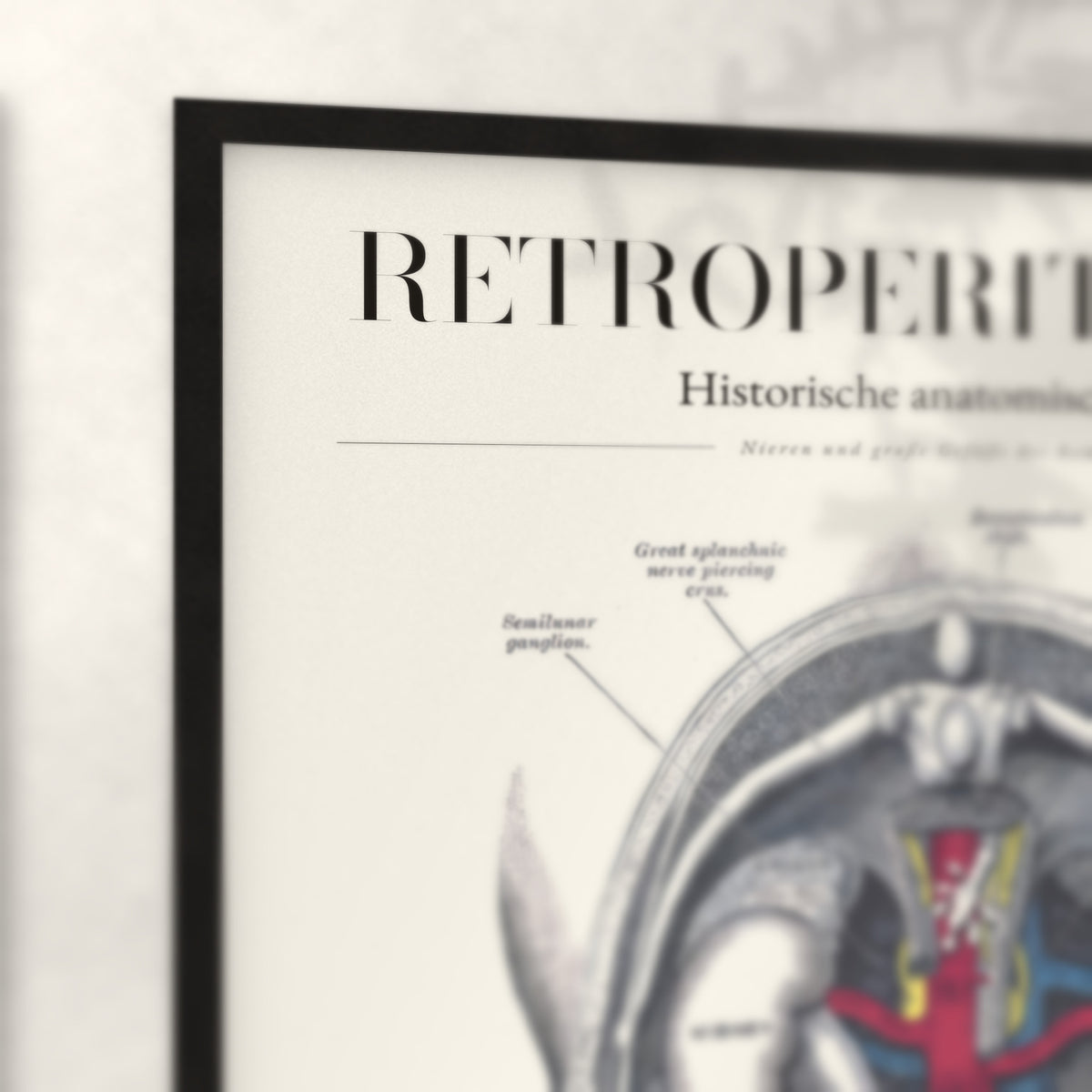 Nahaufnahme von Rahmenecke und Titel „Retroperitoneum“