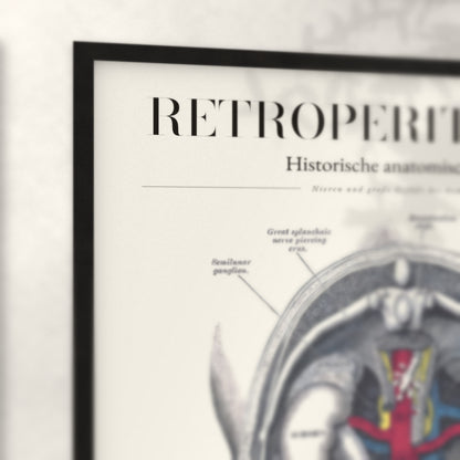 Nahaufnahme von Rahmenecke und Titel „Retroperitoneum“