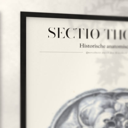 Nahaufnahme von Rahmenecke und Titel „Sectio Thoracis“