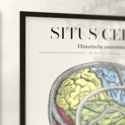 Nahaufnahme von Rahmenecke und Titel „Situs Cerebri“