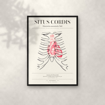 Situs Cordis Anatomie-Poster im schwarzen Rahmen an heller Wand