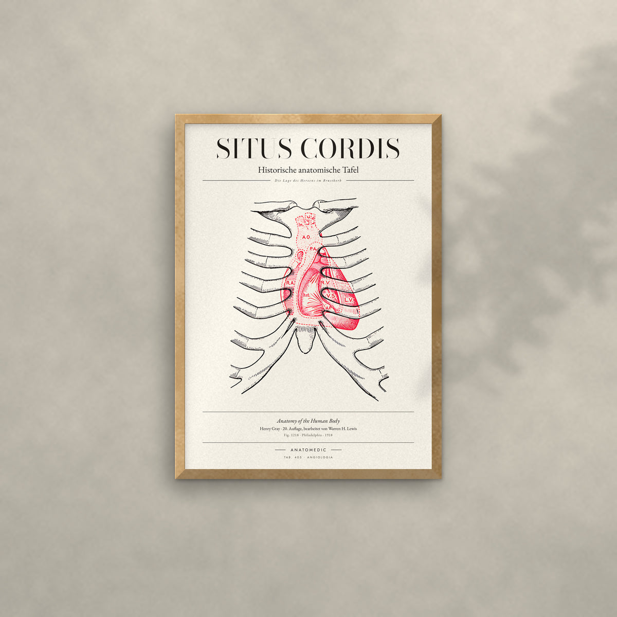 Situs Cordis Anatomie-Poster im Eichenrahmen an heller Wand