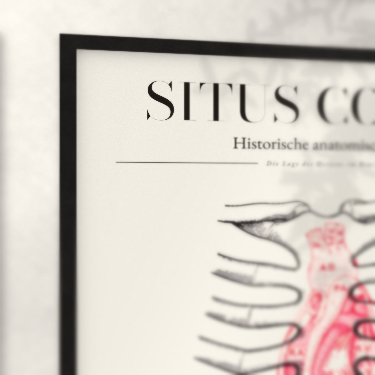Nahaufnahme von Rahmenecke und Titel „Situs Cordis“