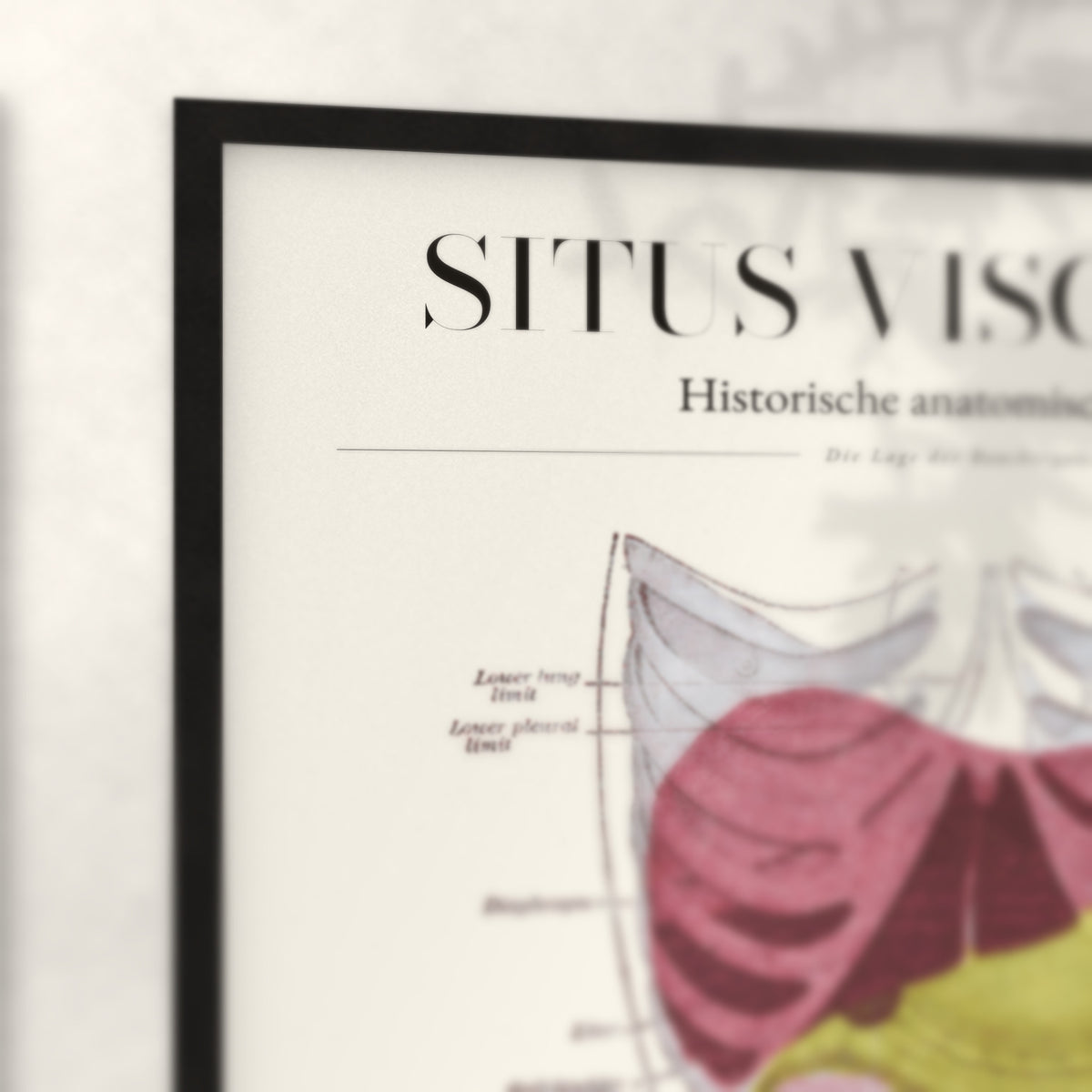 Nahaufnahme von Rahmenecke und Titel „Situs Viscerum“