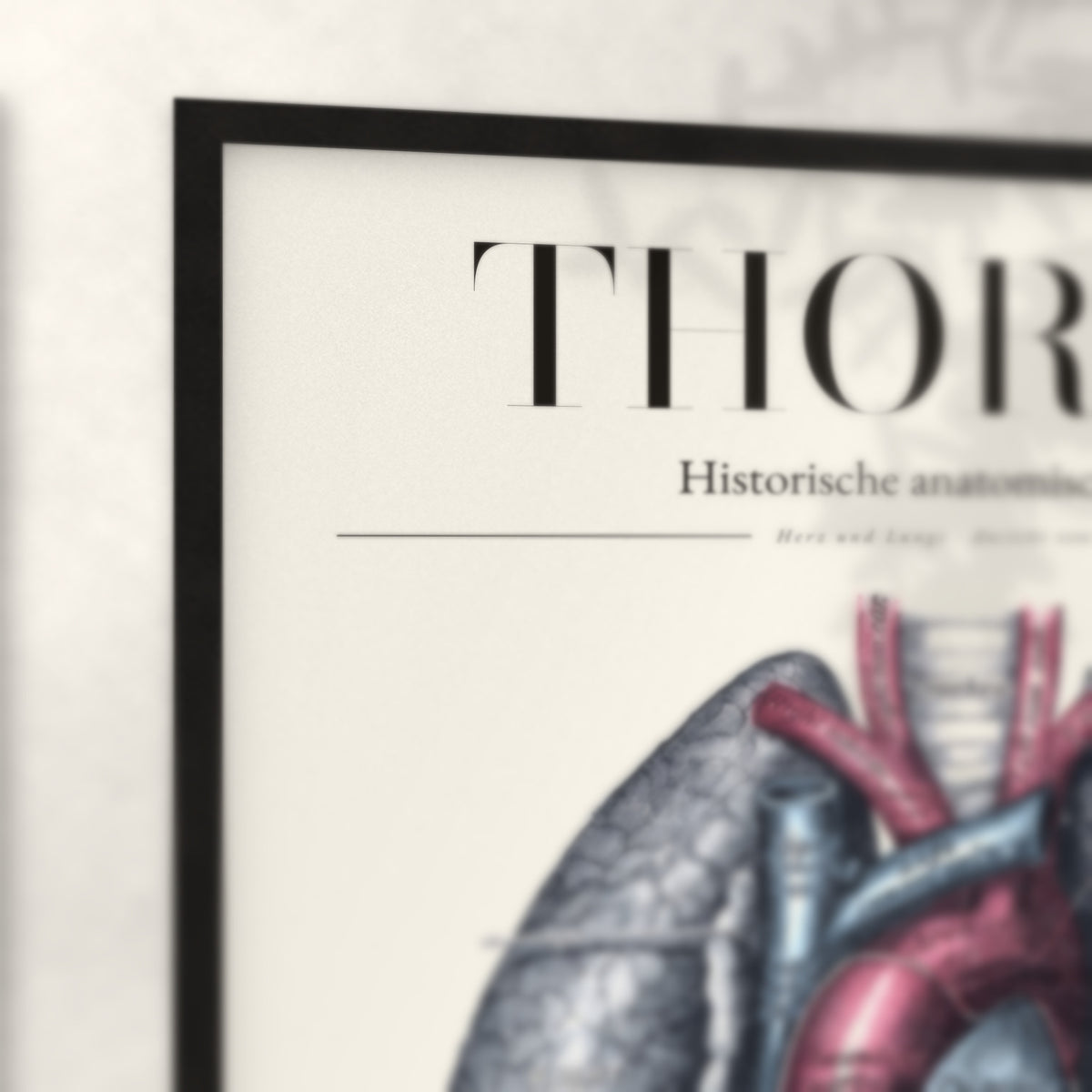 Nahaufnahme von Rahmenecke und Titel „Thorax“