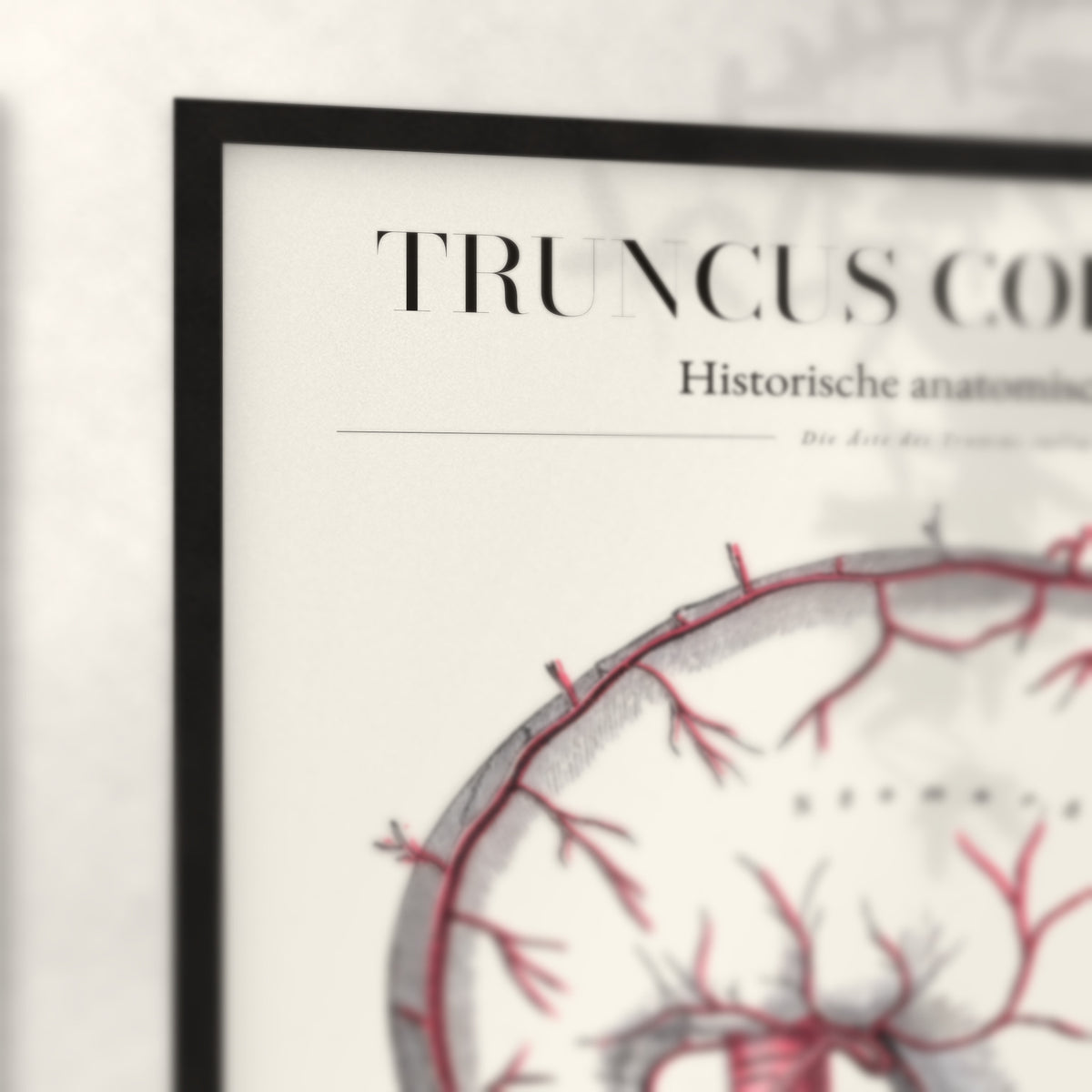 Nahaufnahme von Rahmenecke und Titel „Truncus Coeliacus“