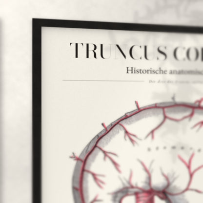 Nahaufnahme von Rahmenecke und Titel „Truncus Coeliacus“