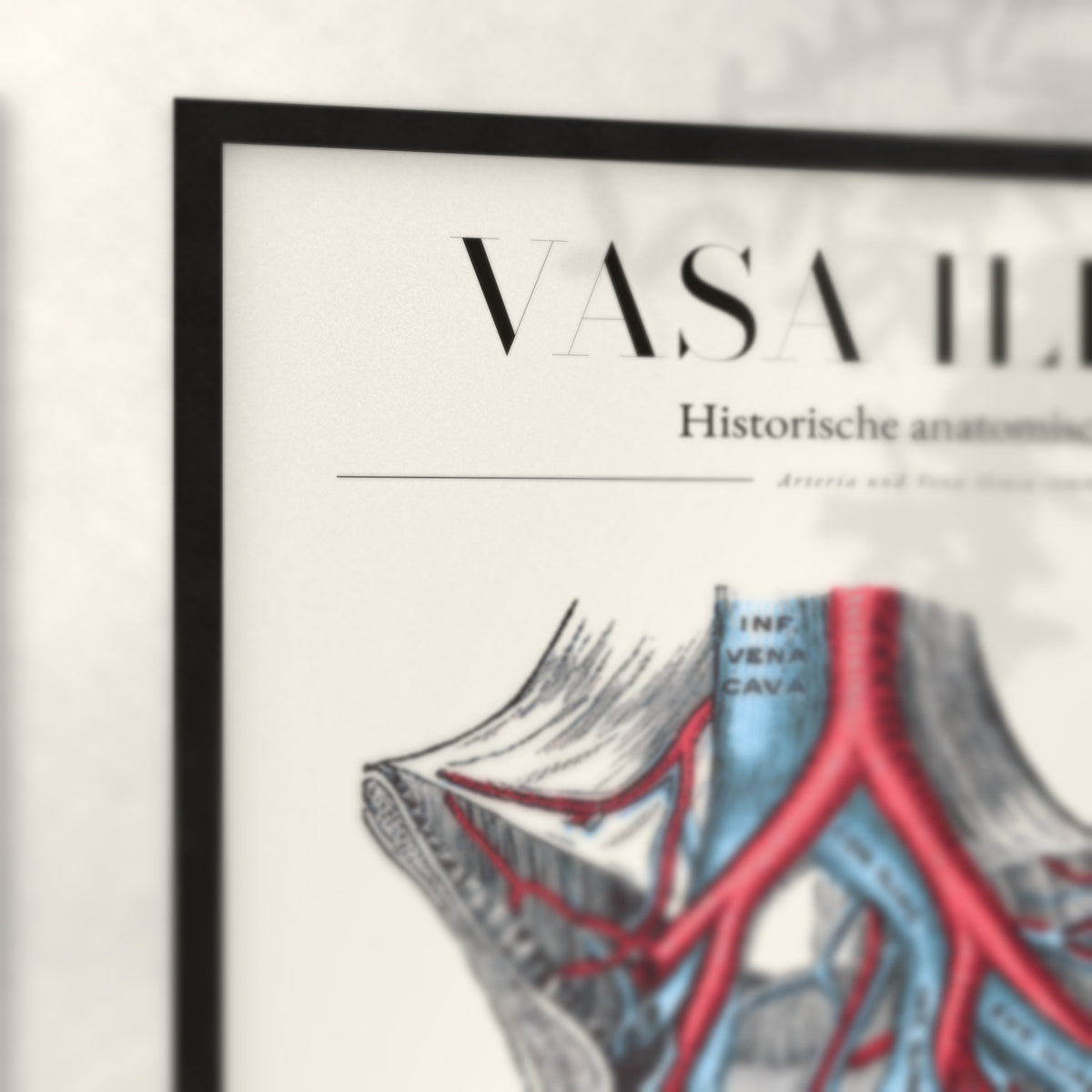 Nahaufnahme von Rahmenecke und Titel „Vasa Iliaca“
