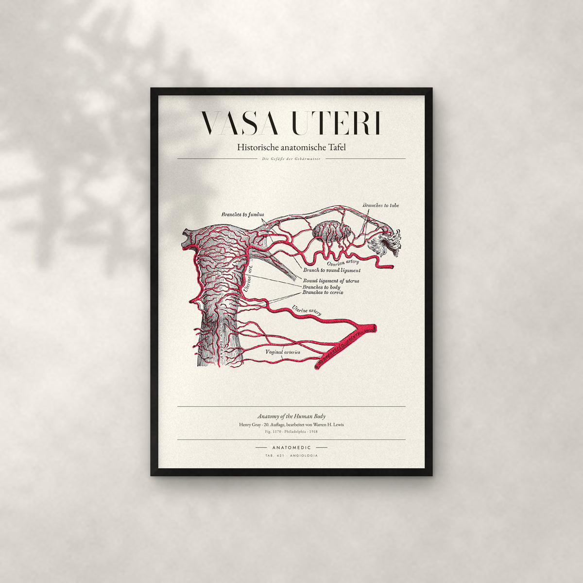 Vasa Uteri Anatomie-Poster im schwarzen Rahmen an heller Wand