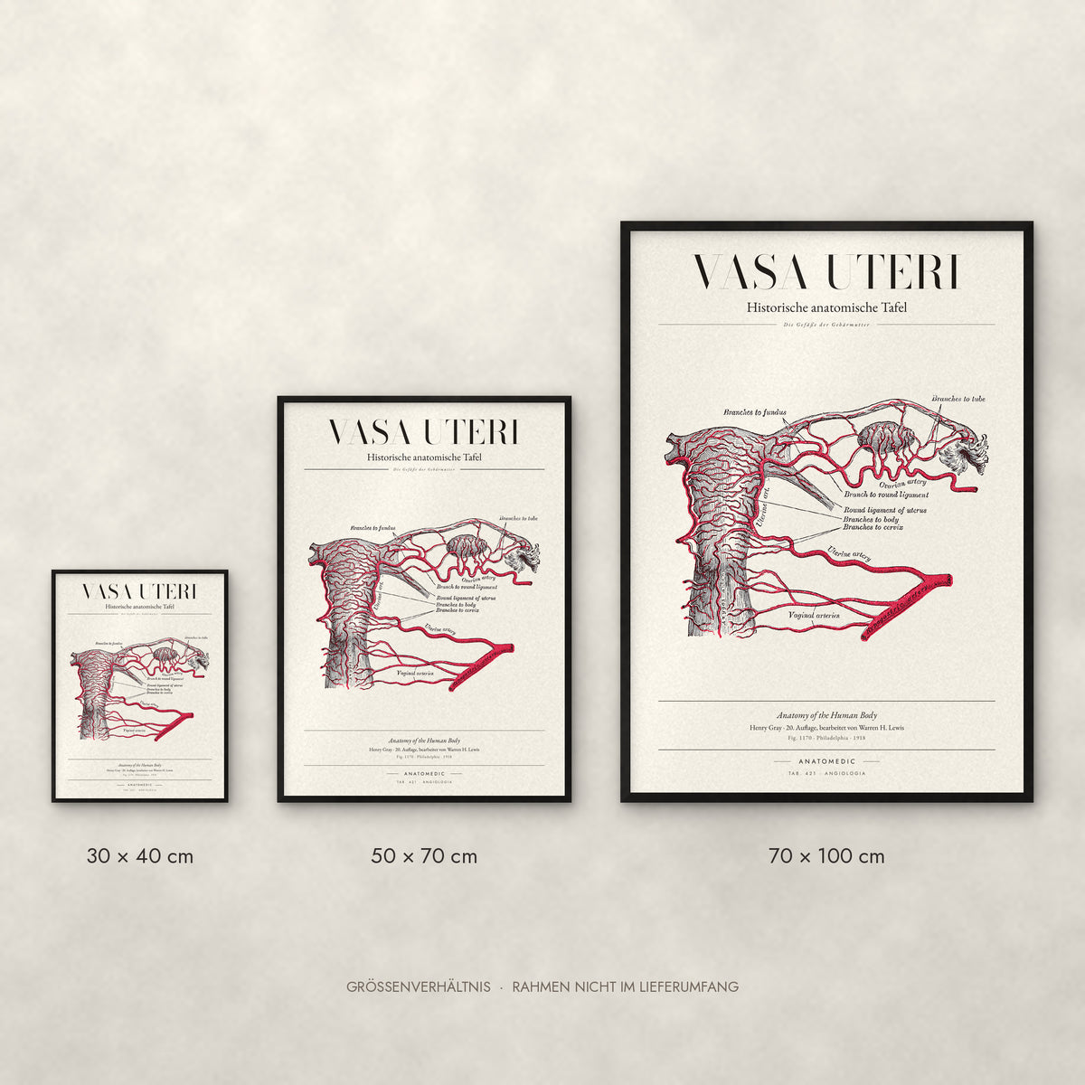 Vasa Uteri Poster im Größenvergleich: 30 × 40, 50 × 70 und 70 × 100 cm