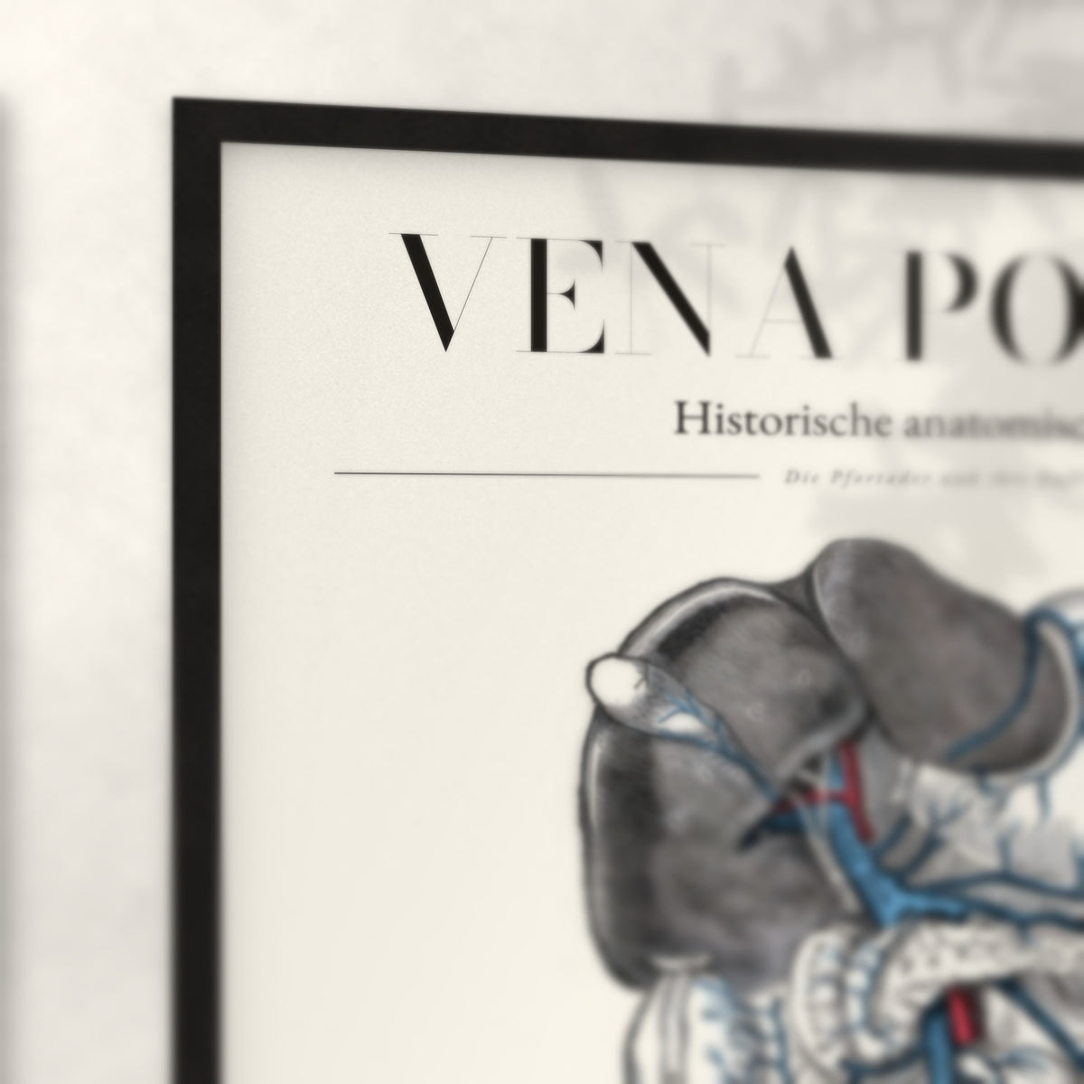 Nahaufnahme von Rahmenecke und Titel „Vena Portae“
