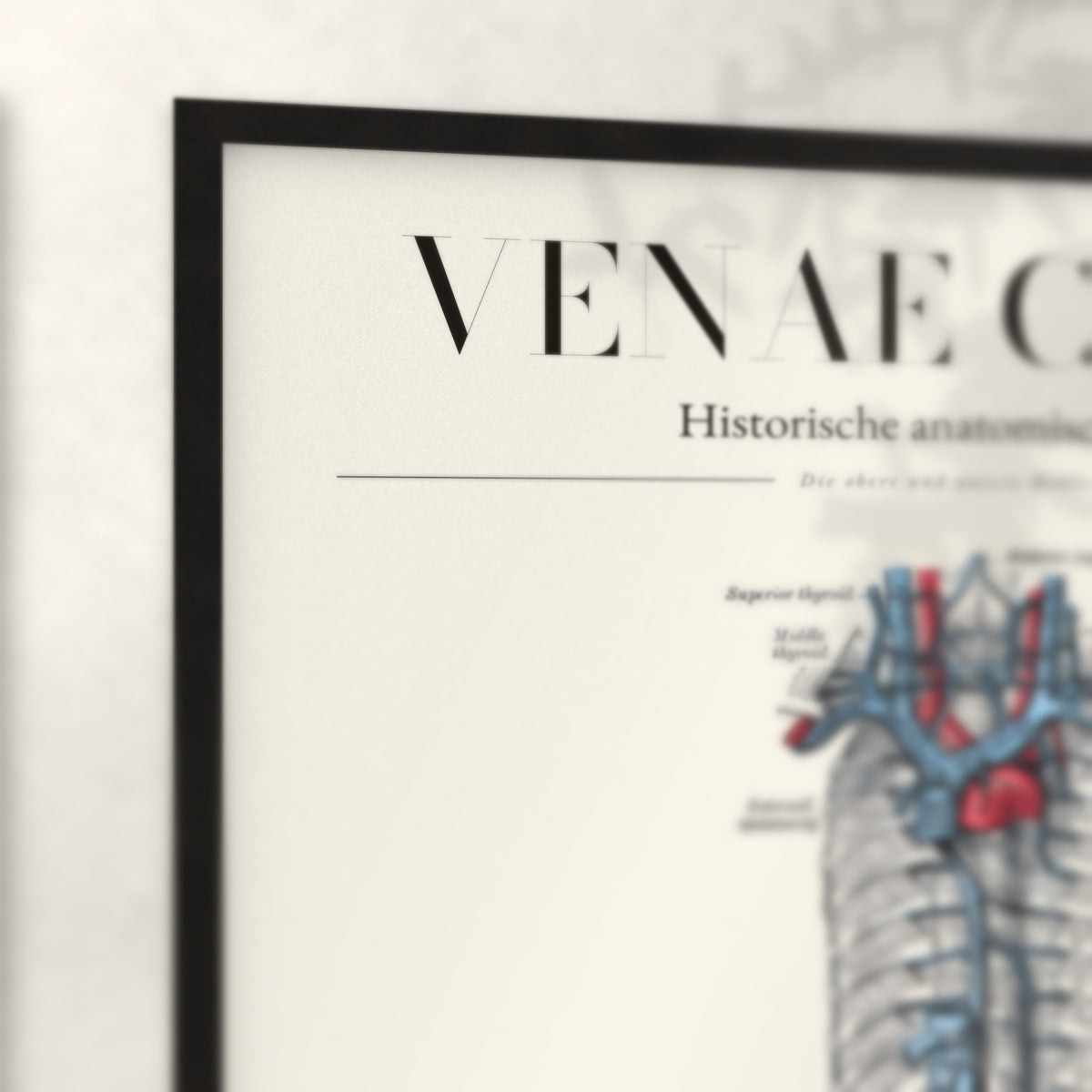 Nahaufnahme von Rahmenecke und Titel „Venae Cavae“