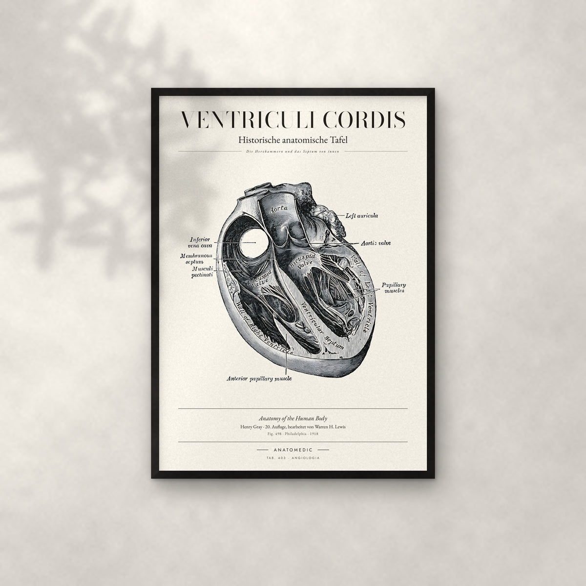 Ventriculi Cordis Anatomie-Poster im schwarzen Rahmen an heller Wand