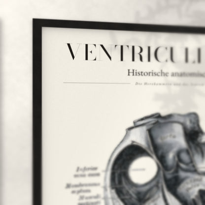 Nahaufnahme von Rahmenecke und Titel „Ventriculi Cordis“